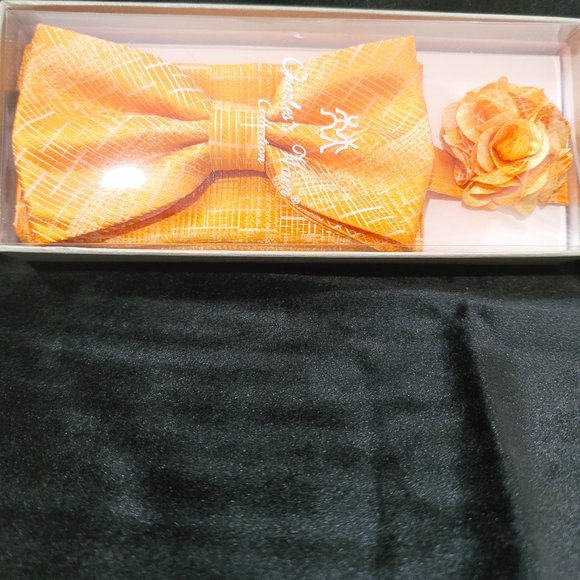Men bridel self tied bow tie - Picture 1 of 1